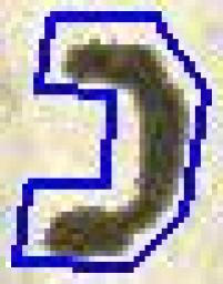 129360_f_27_g-427_0022-jpgkdrUVBLhpf_CREATED_jpg_col1600_row1600_jpg.rf.0a24d39ac71990b773fffa4d9a3a91ab_da_68fa2d38c0621.jpg